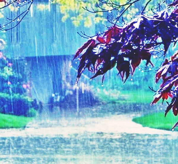 आजको मौसमः सुदूरपश्चिमदेखि गण्डकीसम्म पश्चिमी वायुको प्रभाव, केही स्थानमा हल्का वर्षा 🌧️