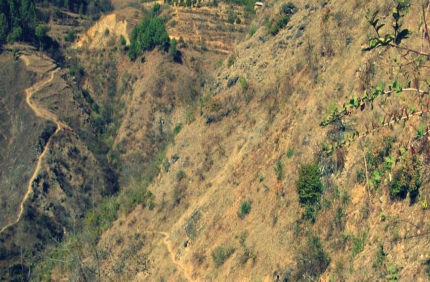 बाजुरामा घाँस काट्ने क्रममा भिरबाट लडेर एकको मृत्यु