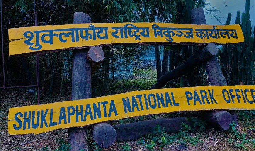 शुक्लाफाँटा निकुञ्जमा पर्यटक घटे, प्रचारप्रसार र पूर्वाधार अभाव मुख्य कारण