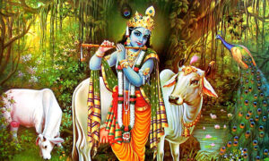 आज देशभर श्रद्धा र भक्तिपूर्वक मनाइँदै श्रीकृष्णजन्माष्टमी