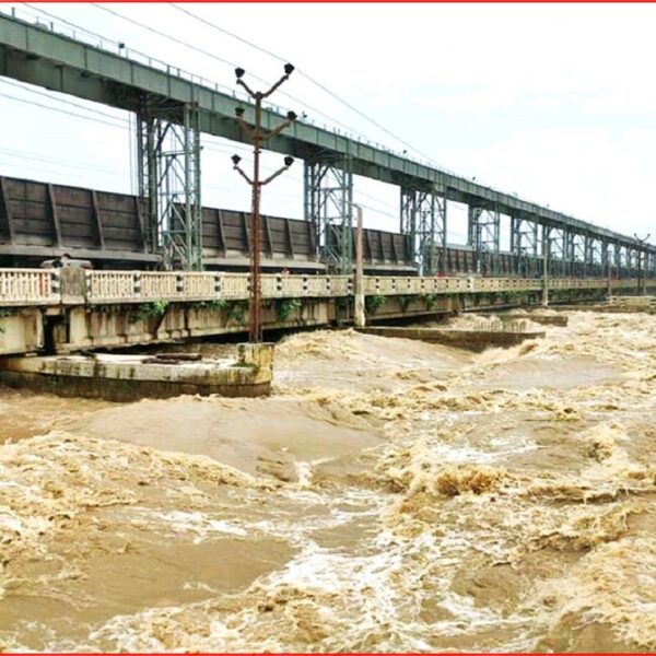 सप्तकोसीमा पानीको बहाव तीव्र, कोशी ब्यारेजमा रातो संकेत जारी