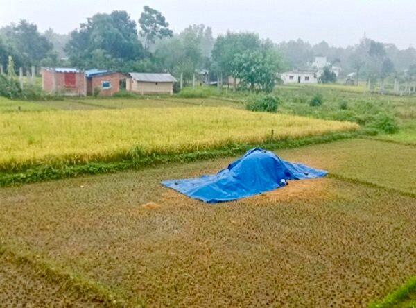 देशभर मनसुनी वायुको प्रभाव कायमै, आज यी ५ प्रदेशमा भारी वर्षाको सम्भावना