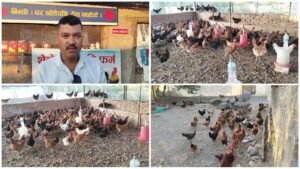 युवाको आत्मनिर्भरता र लगानीबाट ५ हजार कुखुरासम्म: कैलालीको शैलेश्वरी कृषि फार्मको उद्यमशील उदाहरण