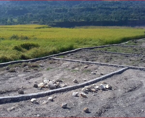 ४०५ स्थानीय तहमा आजदेखि जग्गा कित्ताकाट बन्द, नयाँ मापदण्ड पनि लागू, कर बढ्यो !