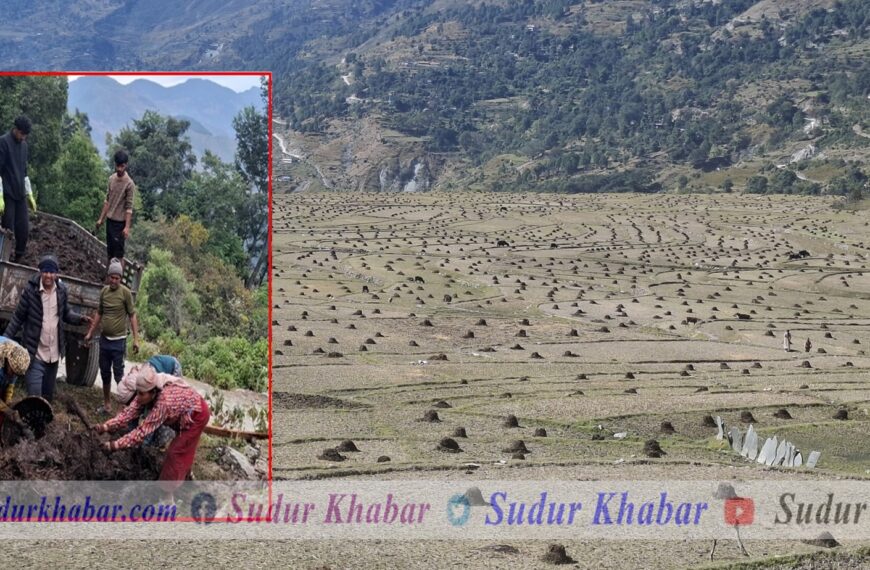 गाउँमा सडक संजालले छोएपछी भारी बोकेर खेतबारी सम्म जान पर्दैन