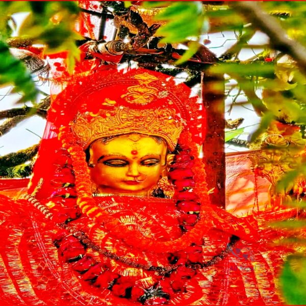 ज्योतिषीका अनुसार आजका लागि कस्तो छ त तपाईंको भाग्य, ग्रह गोचर, शुभ अशुभ ? पढ्नुहोस् पुस २९ गते मंगलबारको दैनिक राशिफल