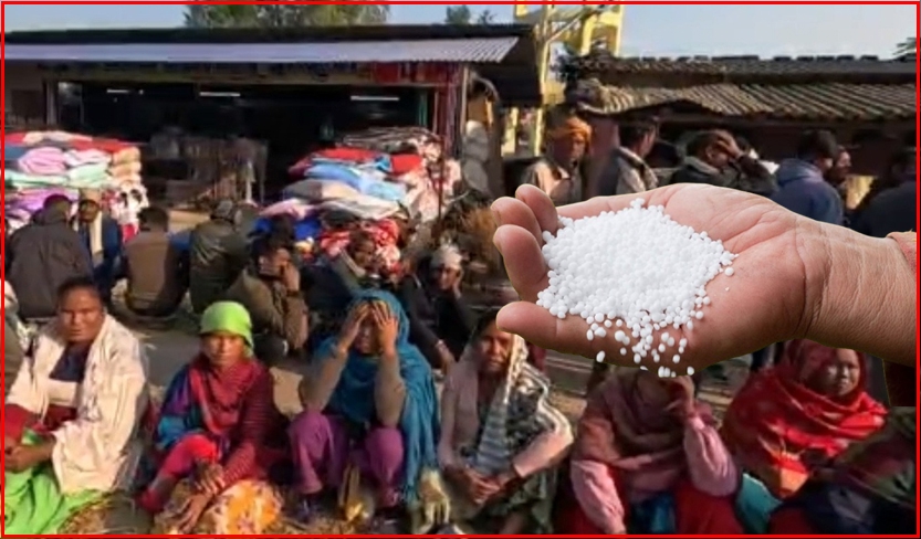 सुदूरपश्चिममा युरिया अभावले किसान चिन्तित : लाइन, चिठ्ठा र हण्डर बीच मल&hellip;
