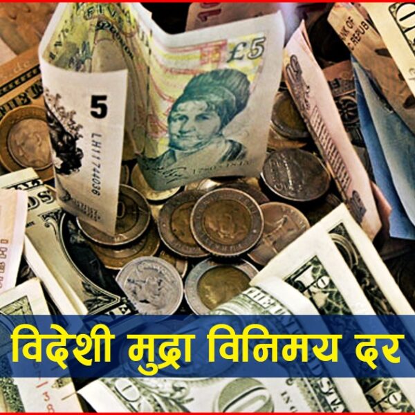 बिदेशबाट नेपालमा घर खर्चका लागि पैसा पठाउँदै हो भने जानकारी लिनुहोस् आजका लागि तोकिएको विदेशी मुद्राको विनिमय दर