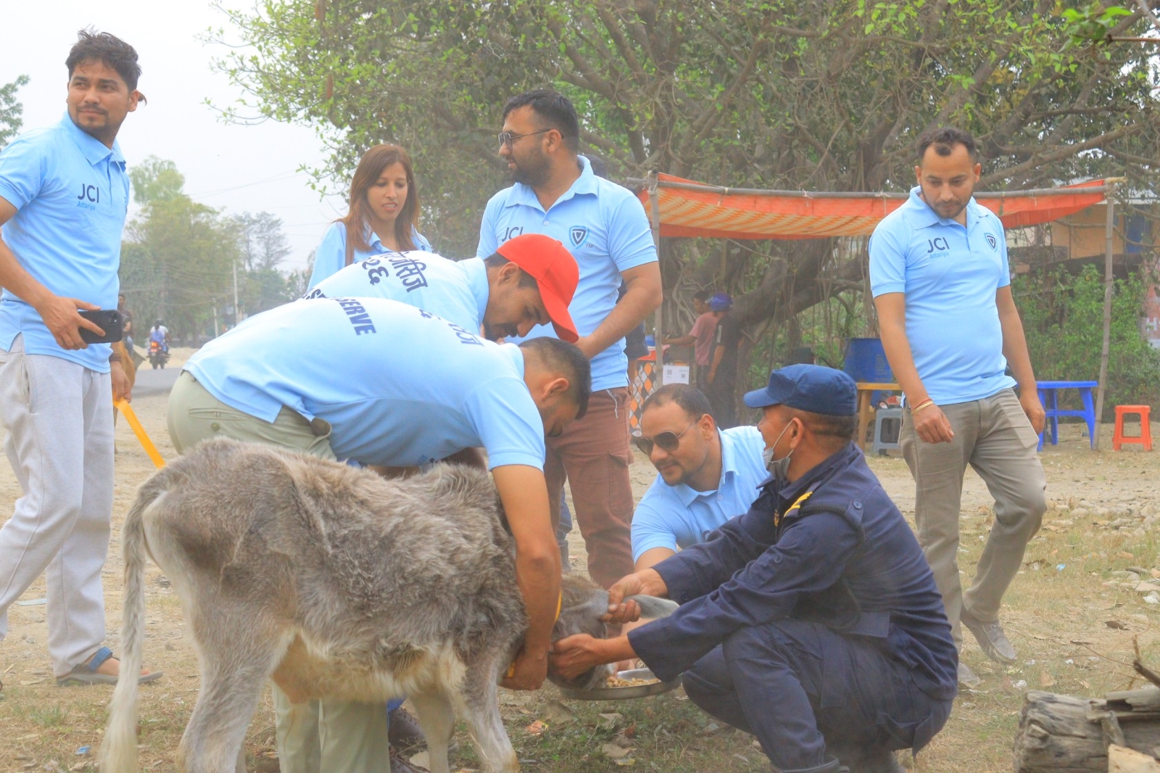 अत्तरिया जेसीजले छाडा चौपायामा राति चम्किने रिफ्लेक्टिभ स्टिकर टाँस्दै सडक सुरक्षा सुधार