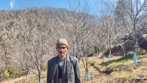 सडक पुगेपछि बाजुरामा स्याउ खेतीतर्फ किसानको बढ्दो आकर्षण