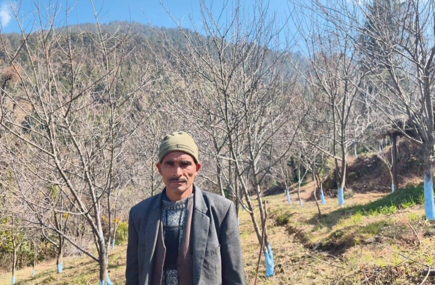 सडक पुगेपछि बाजुरामा स्याउ खेतीतर्फ किसानको बढ्दो आकर्षण