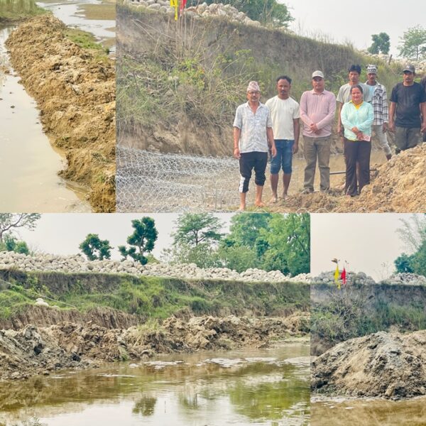 कृष्णपुरको वाणी नयाँबस्तीमा बन्द नदी कटान रोक्न पक्की तटबन्ध निर्माण सुरु, स्थानीयमा राहत र आशा