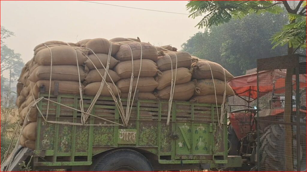 कैलालीमा गहुँ खरिद सुरु, किसानलाई प्रोत्साहन गर्न&hellip;