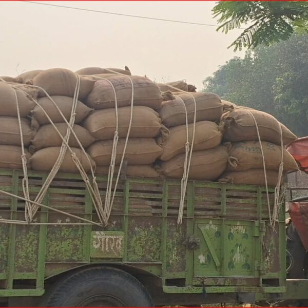 कैलालीमा गहुँ खरिद सुरु, किसानलाई प्रोत्साहन गर्न समर्थन मूल्यभन्दा बढी दर