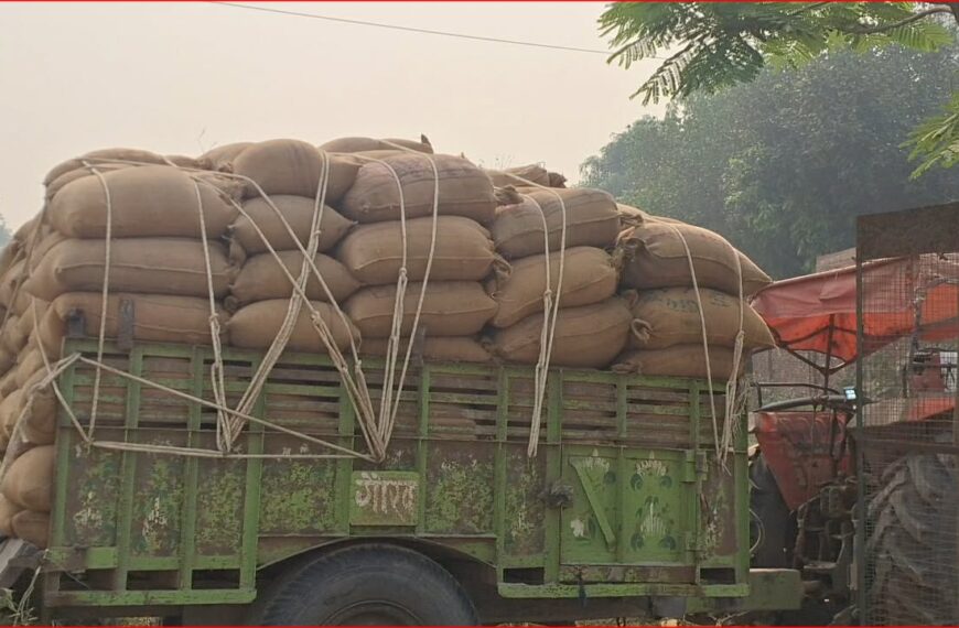 कैलालीमा गहुँ खरिद सुरु, किसानलाई प्रोत्साहन गर्न समर्थन मूल्यभन्दा बढी दर
