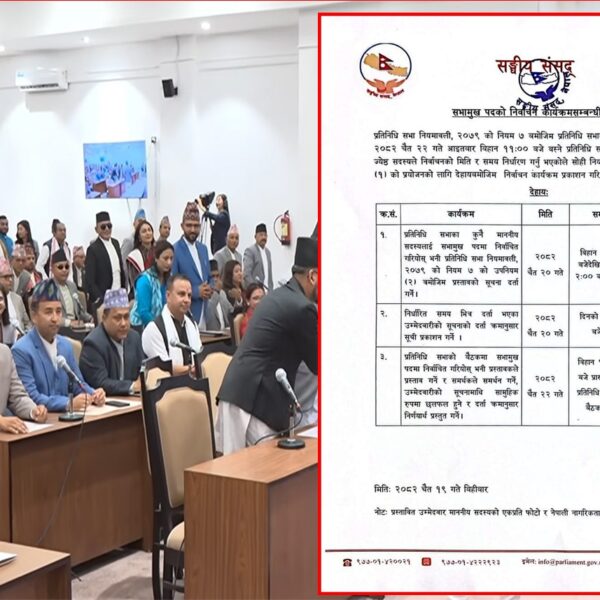 चैत २२ मा सभामुख निर्वाचन, तालिका सार्वजनिक