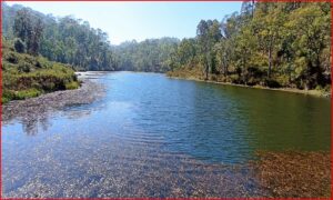 चुरेको शिरमा लुकेको स्वर्ग: गोदावरीको नायल ताल, आन्तरिक पर्यटनको नयाँ गन्तव्य