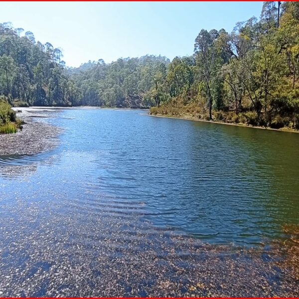 चुरेको शिरमा लुकेको स्वर्ग: गोदावरीको नायल ताल, आन्तरिक पर्यटनको नयाँ गन्तव्य