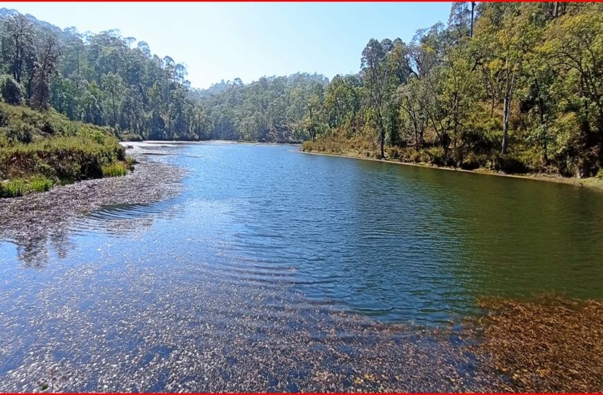 चुरेको शिरमा लुकेको स्वर्ग: गोदावरीको नायल ताल, आन्तरिक पर्यटनको नयाँ गन्तव्य