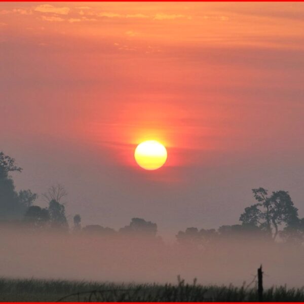 नयाँ वर्ष २०८३ सुरु : उत्साह, आशा र नयाँ संकल्पसँग देशभर हर्षोल्लास