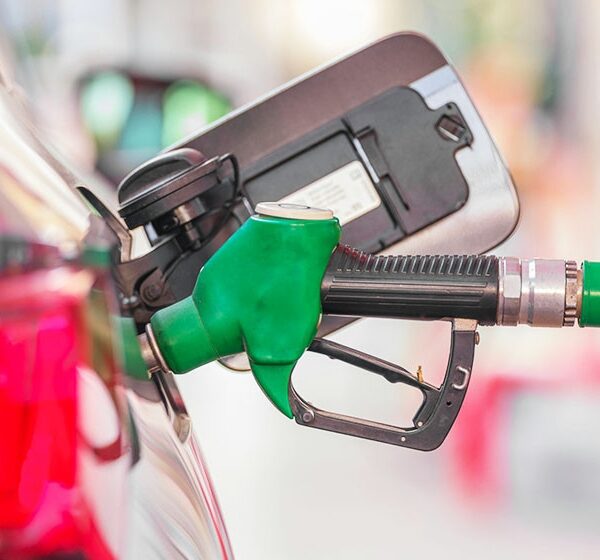 होर्मुज खुला घोषणापछि तेलको मूल्यमा गिरावट, विश्व बजारमा उत्साह