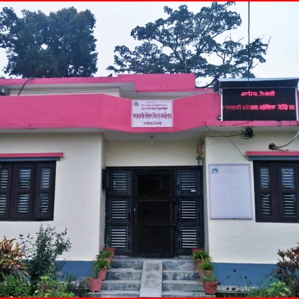 असह्य गर्मी: अत्तरियामा ४० डिग्री नाघ्यो तापक्रम, सावधानी अपनाउन आग्रह