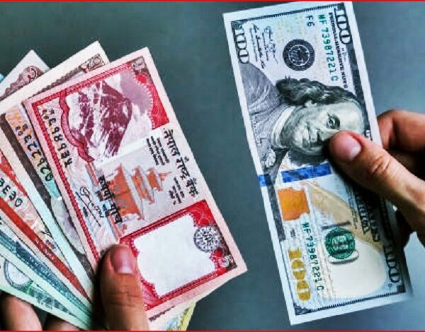 अमेरिकी डलरको मूल्य अहिले सम्मकै उच्च,बिदेशबाट नेपालमा घर खर्चका लागि पैसा पठाउदै हो भने जानकारी लिनुहोस आजको विनिमयदर