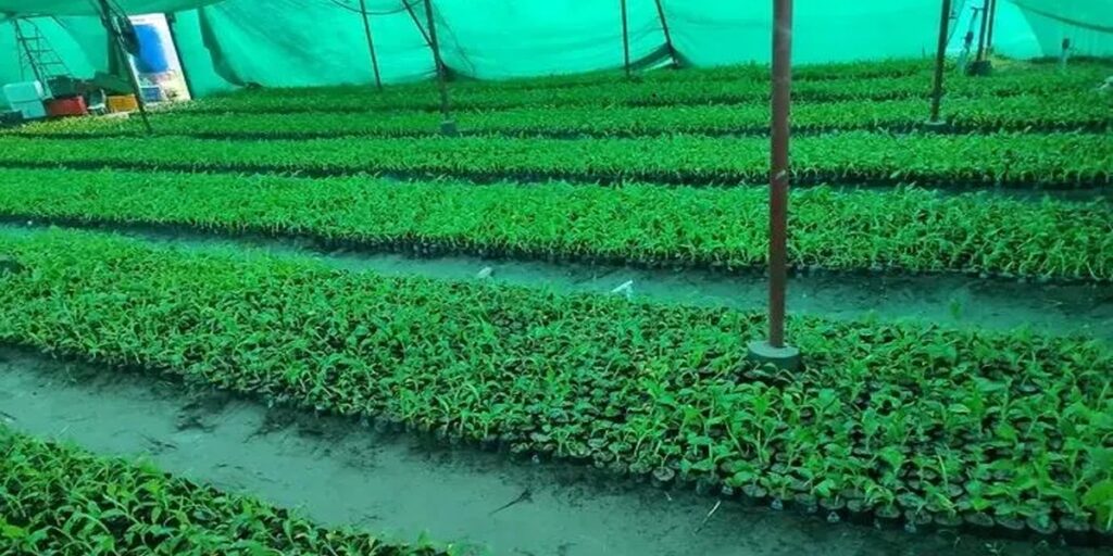 बैतडीमा कृषक पाठशाला सञ्चालनः बारीमै सिकाइ, महिलाको&hellip;