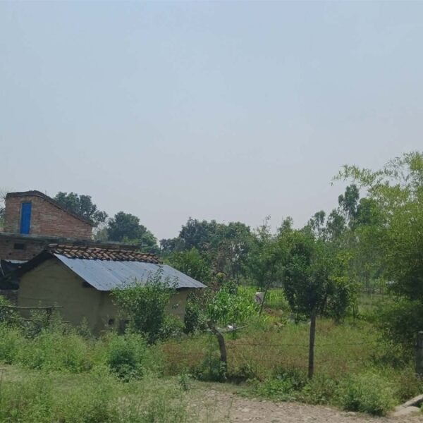 सुदूरपश्चिममा भूमि संकट गहिरिँदै: सरकारी जग्गा खाली गर्ने अभियान र डेढ लाख भूमिहीनको व्यवस्थापन चुनौती