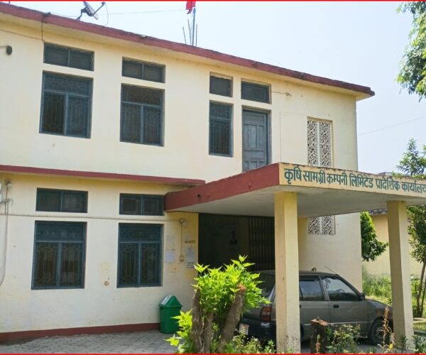 कैलालीमा डिएपी मल अभाव : धान रोपाइँ प्रभावित, किसान चिन्तित