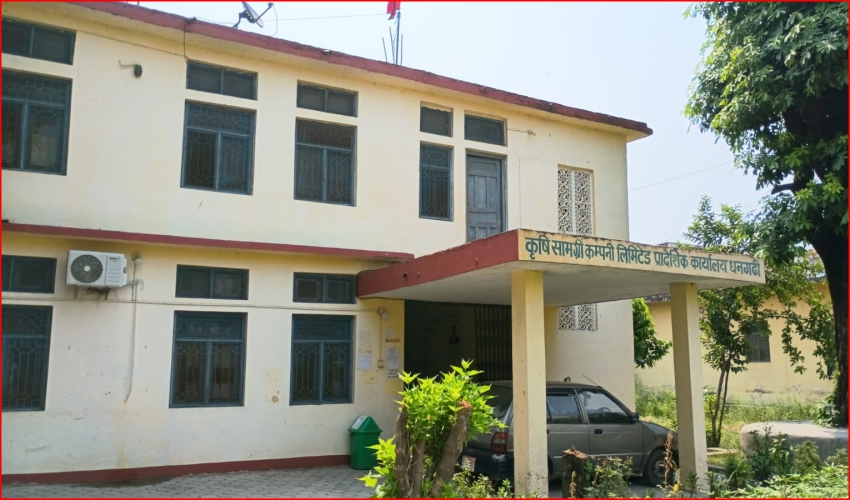 कैलालीमा डिएपी मल अभाव : धान रोपाइँ प्रभावित, किसान चिन्तित