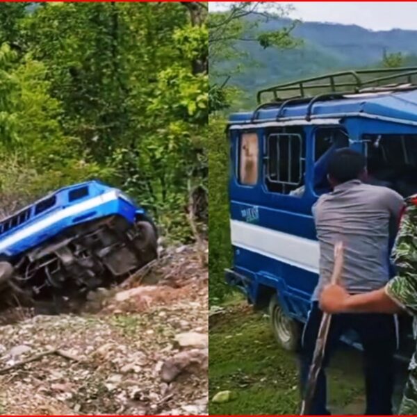 वन कर्मचारीको निर्मम कदमः कारबाहीको नाममा टेम्पो भिरमा फालिएपछि धनादेवी धामी न्यायको खोजीमा