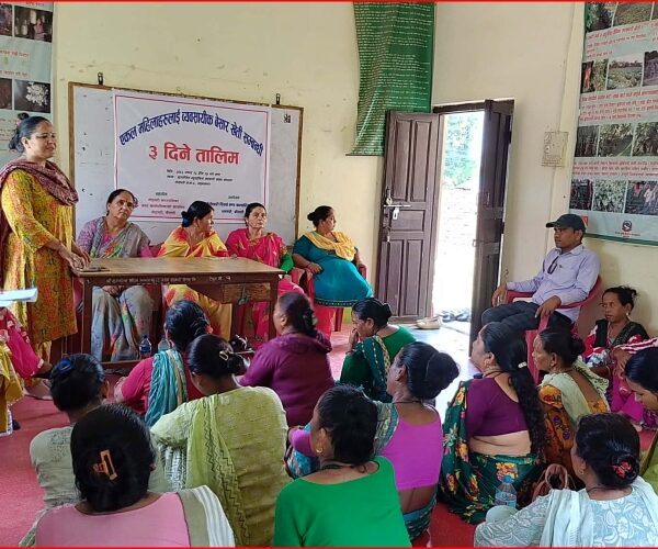एकल महिलालाई आत्मनिर्भर बनाउने लक्ष्यसहित गोदावरीमा व्यावसायिक बेसार खेती तालिम सुरु