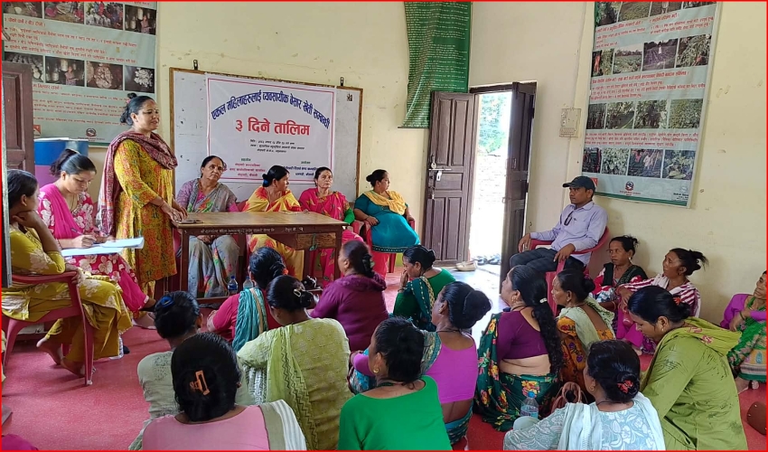 एकल महिलालाई आत्मनिर्भर बनाउने लक्ष्यसहित गोदावरीमा व्यावसायिक&hellip;