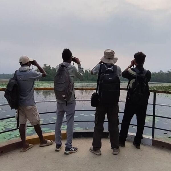 घोडाघोडीमा हरिहाँस गणना सुरु, संरक्षण अवस्थाको नयाँ तथ्याङ्क सार्वजनिक गरिने