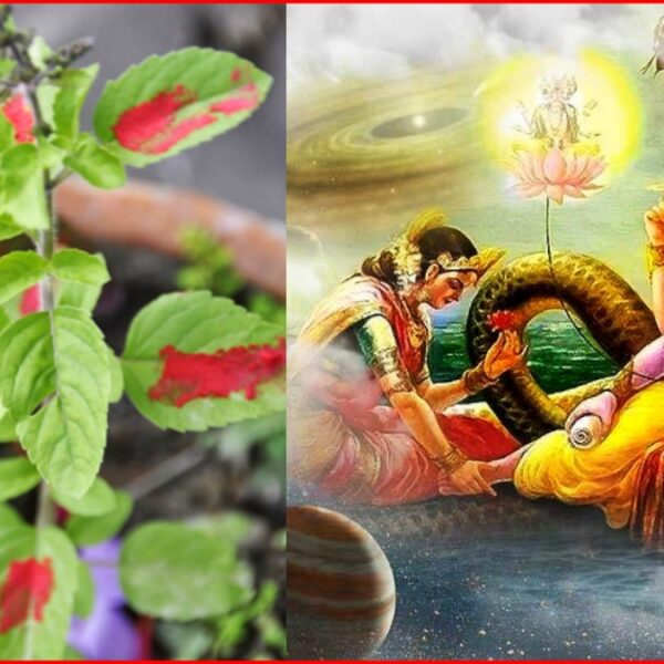 श्रद्धा र भक्तिभावका साथ मनाइँदै निर्जला एकादशी, तुलसीको बीउ राख्ने दिन