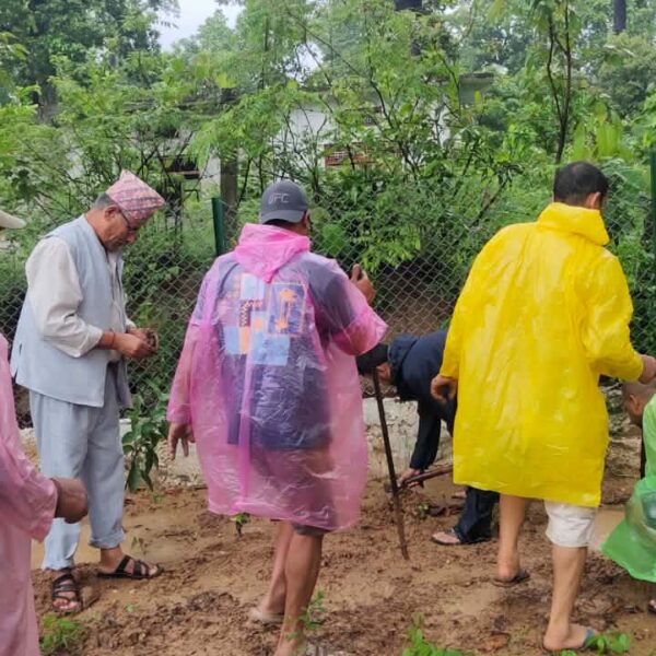 गोदावरीका धार्मिक तथा पर्यटकीय क्षेत्रमा रास्वपाको वृक्षरोपण अभियान, पहिलो दिन ४ सय बिरुवा रोपियो