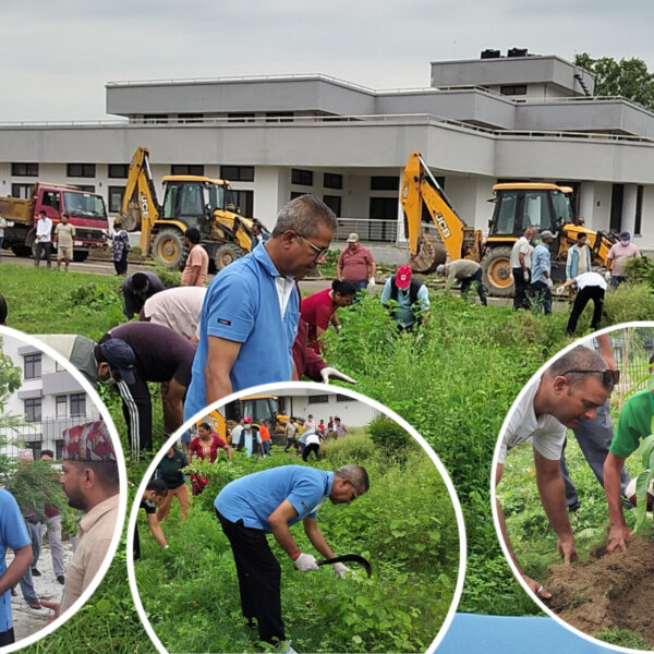 गेटा विश्वविद्यालयमा गोदावरी नगरपालिकाको दोस्रो दिन पनि श्रमदान, ‘स्वच्छ गोदावरी’ अभियानलाई निरन्तरता