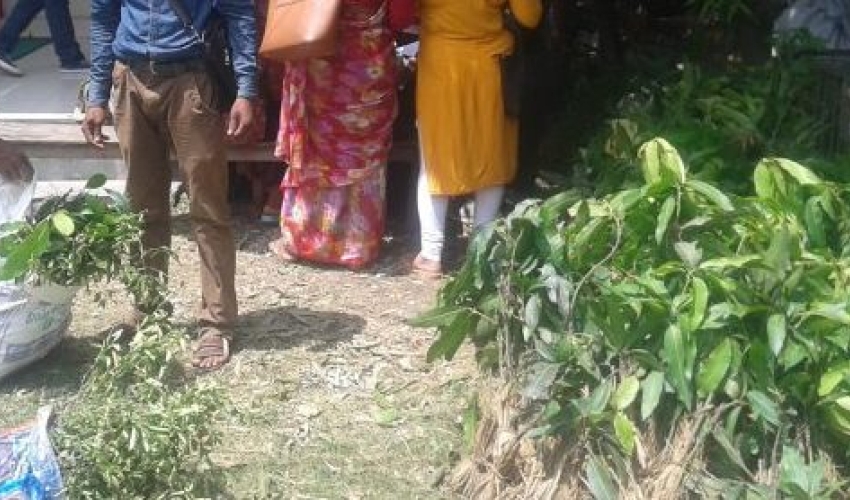 कृष्णपुरमा ५० प्रतिशत अनुदानमा दुई हजारभन्दा बढी&hellip;