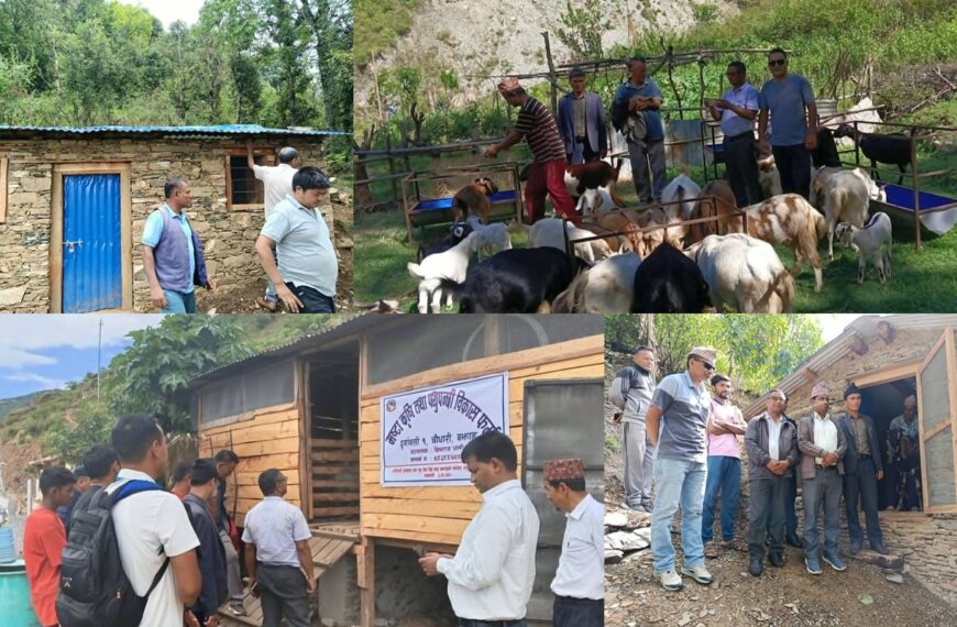 ५० प्रतिशत अनुदानमा निर्माण भएका बाख्राका खोरको प्रमुख जिल्ला अधिकारीको नेतृत्वमा संयुक्त अनुगमन