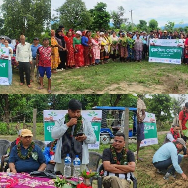 जनहित महाकाली सामुदायिक वनको आयोजनामा खल्लागोठ मा वृहत् वृक्षारोपण कार्यक्रम सम्पन्न