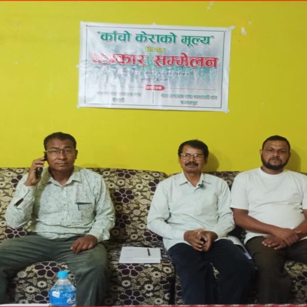 बगानमा सस्तो, बजारमा महँगो केरा : किसानले मागे प्रभावकारी बजार अनुगमन