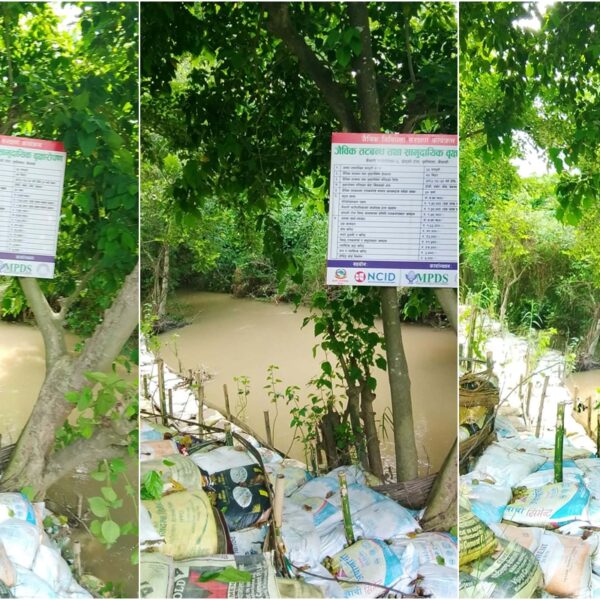 कैलारी गाउँपालिका ,NCID, र MPDS को सहयोगमा जैविक तटबन्ध