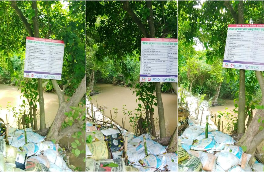 कैलारी गाउँपालिका ,NCID, र MPDS को सहयोगमा जैविक तटबन्ध