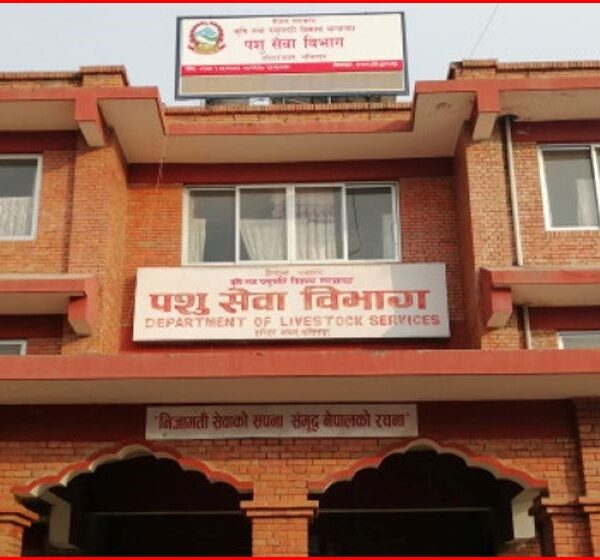 बर्डफ्लु जोखिम बढेपछि उच्च सतर्कता, पन्छीजन्य उत्पादन ढुवानीमा भेटेरिनरी प्रमाणपत्र अनिवार्य