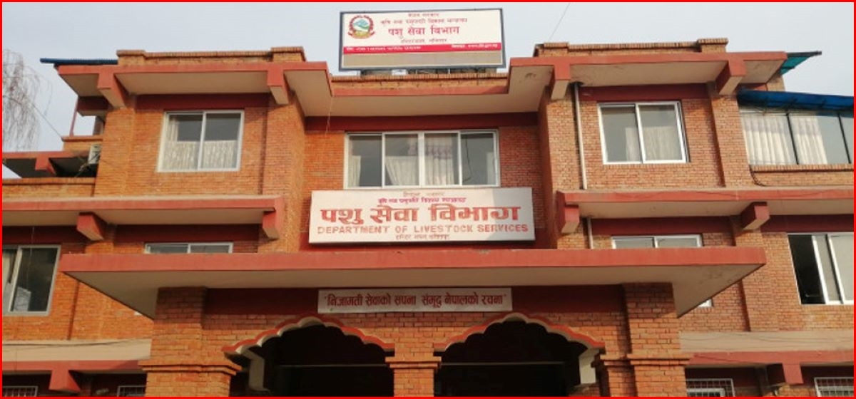 बर्डफ्लु जोखिम बढेपछि उच्च सतर्कता, पन्छीजन्य उत्पादन ढुवानीमा भेटेरिनरी प्रमाणपत्र अनिवार्य