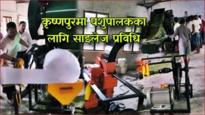 सुदूरपश्चिममै पहिलो साइलेज मेसिन कृष्णपुरमा सञ्चालन, किसानलाई निःशुल्क सेवा; दूध उत्पादन बढ्ने विश्वास