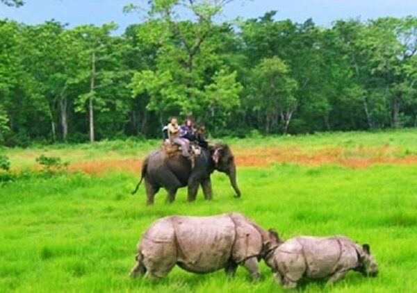 शुक्लाफाँटामा बढ्यो पर्यटकको आकर्षण, ९ महिनामा ३७ सयभन्दा बढीले गरे भ्रमण