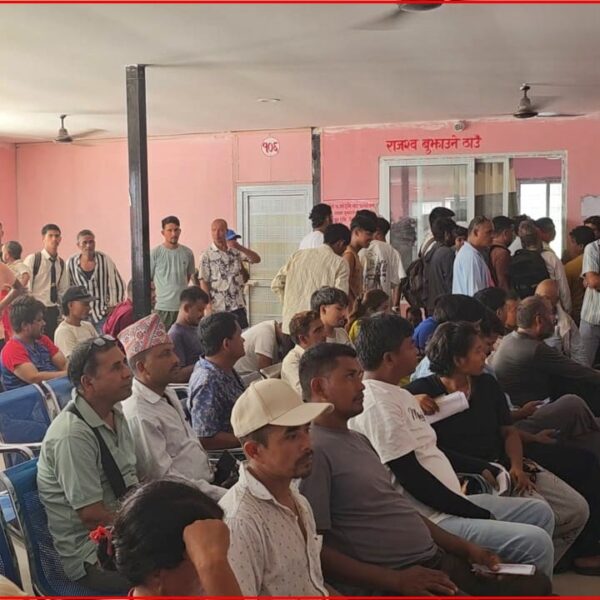 सर्भर डाउनले यातायात कार्यालय कैलाली अस्तव्यस्त, कर तिर्न र लाइसेन्स नवीकरण गर्न पुगेका सेवाग्राही दिनभर अलपत्र