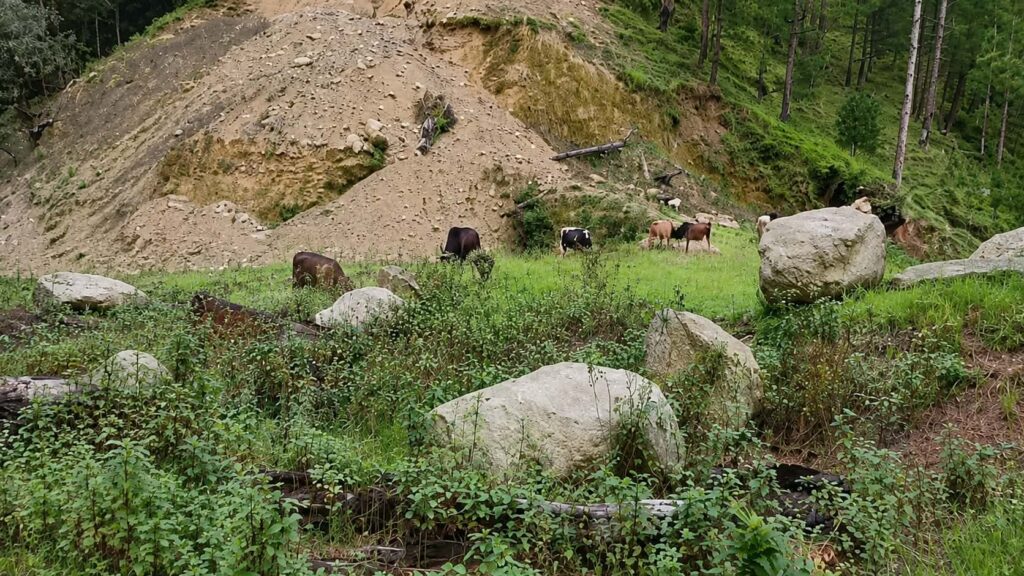 जोरायलमा आधारभुत अस्पताल निर्माण : पाँच वर्षको…